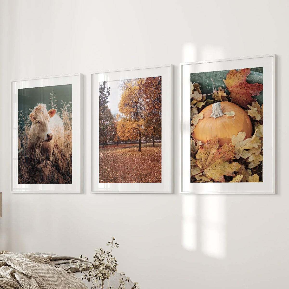 Autumn Farmhouse Prints. Cow, Fall Trees, Pumpkin Decor